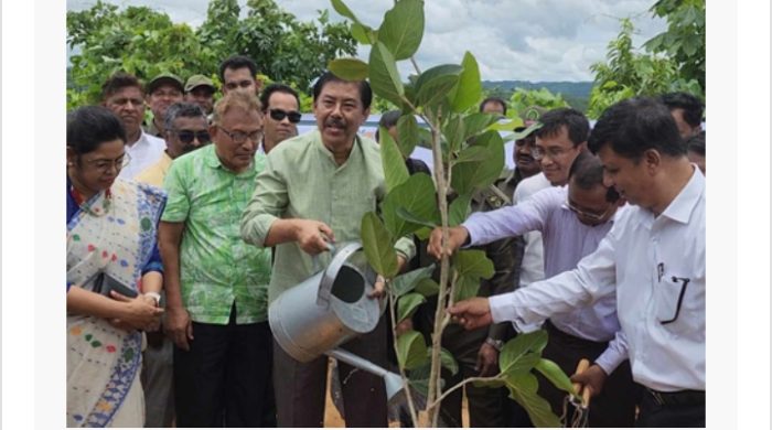 বান্দরবানে বৃক্ষরোপণ অভিযান শুরু