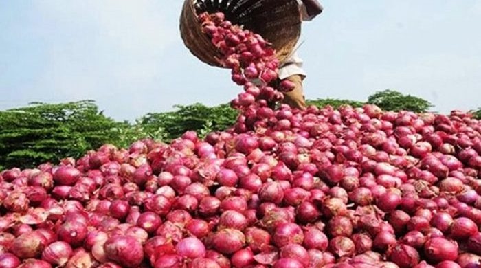 আগামী বছরের মার্চ পর্যন্ত পেঁয়াজ রপ্তানি নিষিদ্ধ করলো ভারত