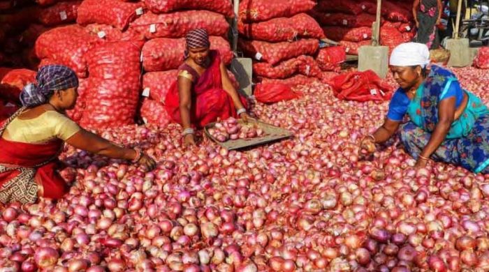 ভারতে দ্রুত বাড়ছে পেঁয়াজের দাম